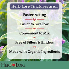 Herb Lore Sage Tincture - USDA Organic - Alcohol Free