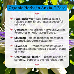 Anxia-T Ease Tincture – Herbal Mood & Relaxation Support with Passionflower, Lavender & Chamomile