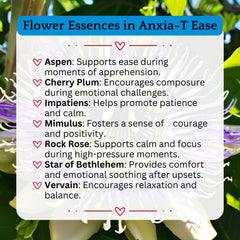 Anxia-T Ease Tincture – Herbal Mood & Relaxation Support with Passionflower, Lavender & Chamomile