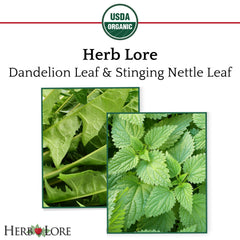 Image of Dandelion Leaf and Stinging Nettle Leaf