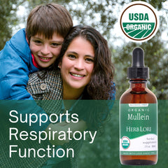 Mullein for Supports Respiratory Function