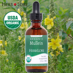 USDA Organic Liquid Mullein Drops