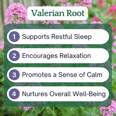 Valerian Root Benefits